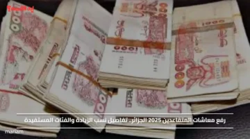 رفع معاشات المتقاعدين 2025 الجزائر.. تفاصيل نسب الزيادة والفئات المستفيدة